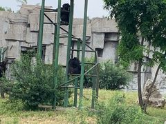 -石家庄市动物园