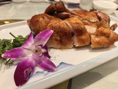 -凯鸽酒楼(振兴街店)