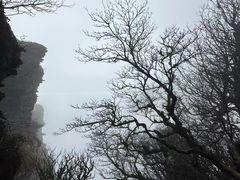 -梵净山旅游区