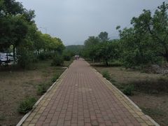 -白水寺森林公园