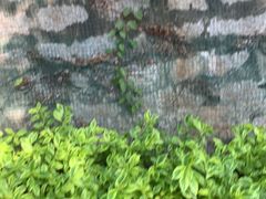 -宝盖山风景区-停车场