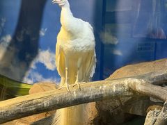 -苏州海洋馆