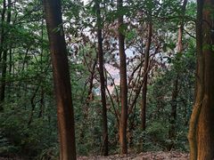 -火炉山森林公园