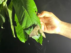 -中国科学院西双版纳热带植物园