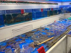 水产区-北塘海鲜·天津菜(大光明桥旗舰店)