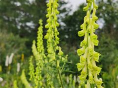 -白草畔自然风景区