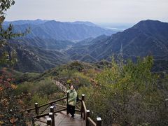-大岭沟猕猴桃谷风景区