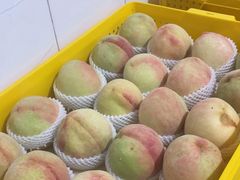 -老袁家蜜桃农场·阳山水蜜桃