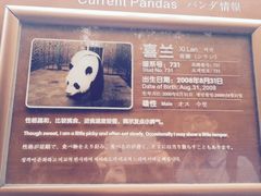 -成都大熊猫繁育研究基地