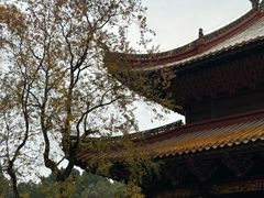 -南岳衡山风景名胜区-南岳大庙