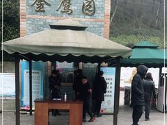 -大金鹰园