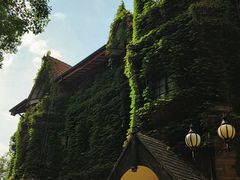 -上海影视乐园