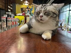 -咖法森林·咖啡  酒吧(天河店)