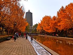 -玲珑塔公园