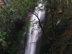 -莫里热带雨林景区
