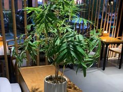 -竹里馆 ·茶食(奥体店)