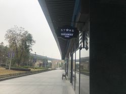 -侨治发型