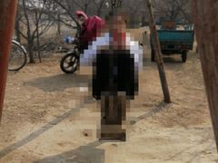 -尚庄度假村·庭台树下·户外烧烤·团建CS·轰趴营地(上庄水库店)