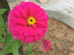 -龙口南山旅游景区