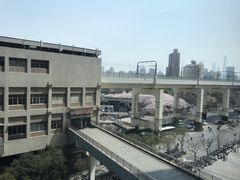 -避风塘·老港味餐厅(虹口龙之梦店)