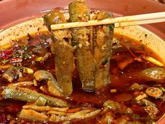-情妹耙泥鳅·江湖川菜(科华店)
