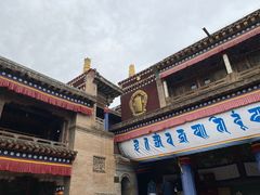 -塔尔寺-菩提树