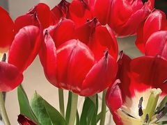 -鄰居neighborhood(马塍路店)