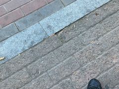 -哈尔滨热雪奇迹
