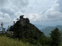 -朱雀国家森林公园