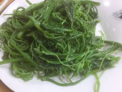 清炒丝瓜尖-力力豆花庄(广渠门店)