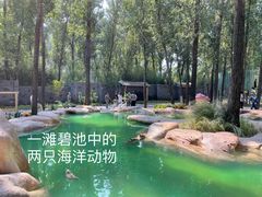 -北京野生动物园