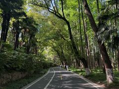 -采石矶景区