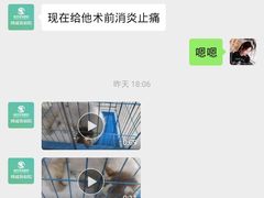 -瑞派宠物医院(搏威敦和院)