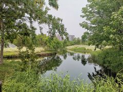 -眉山湿地公园(东坡区)