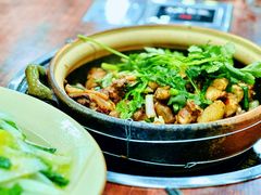-华仔土鸡店(南洲分店)
