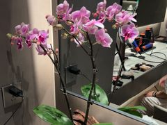 -浅深Cheersum(曹杨店)