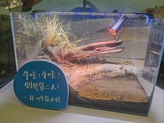 -中国湿地博物馆