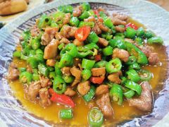 -青城甲(青城山店)