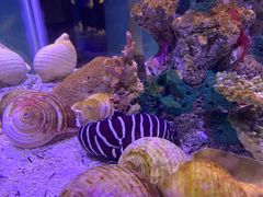 -太平洋海底世界