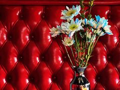 卡座-弦月窗LUNETTE BY AMANDA(复兴路店)