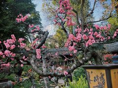 -成都杜甫草堂博物馆