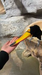 -Zoolung Zoolung动物主题公园(海信广场店)
