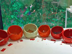 -川味堂·四川豆花(八卦岭店)