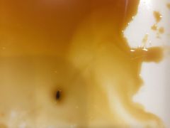 -永和大王(北京站内一店)