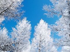 -塞罕坝国家级自然保护区