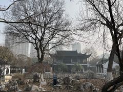 -红梅公园