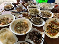 -大树下饭店(春晓镇慈岙社区卫生服务站南)