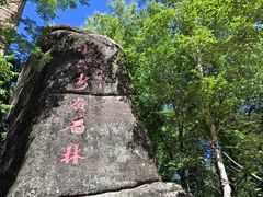 -汤旺河林海奇石景区