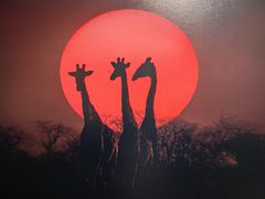 -罗红摄影艺术馆