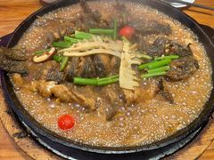 -老板恋上鱼(高新万达店)